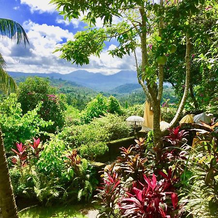 Gunung Paradis Retreat Munduk Kültér fotó