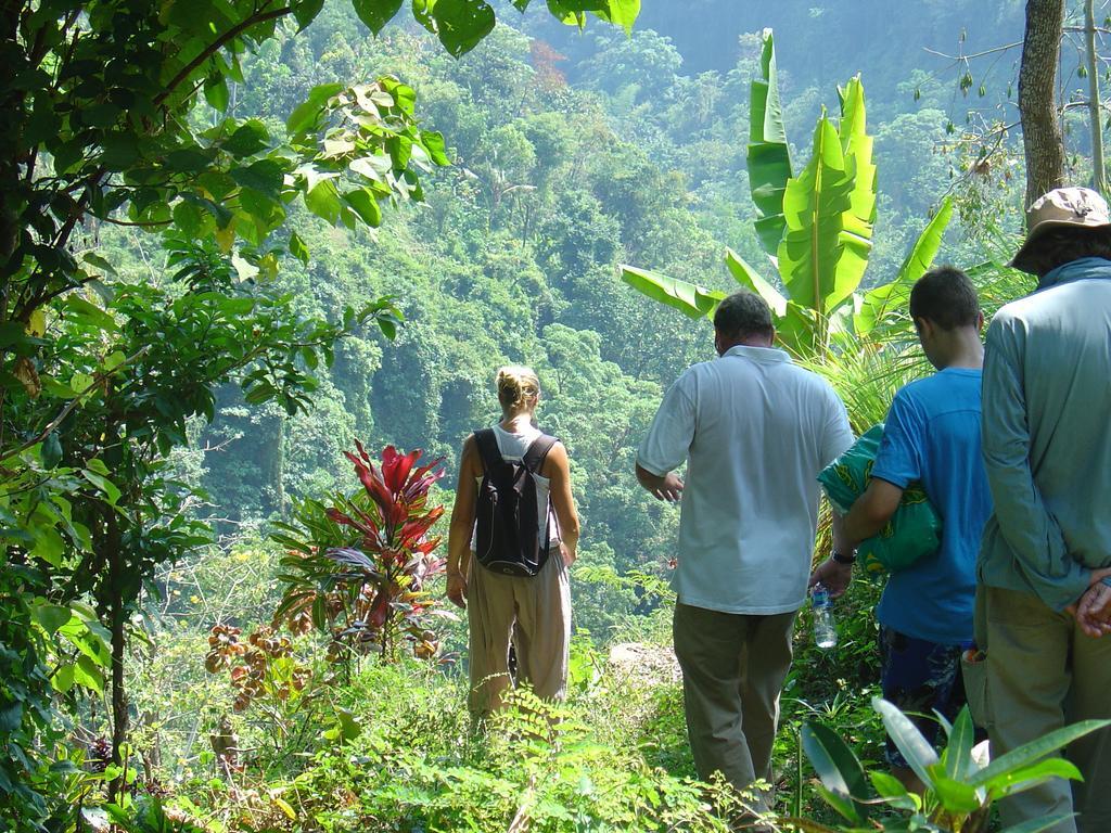 Gunung Paradis Retreat Munduk Kültér fotó