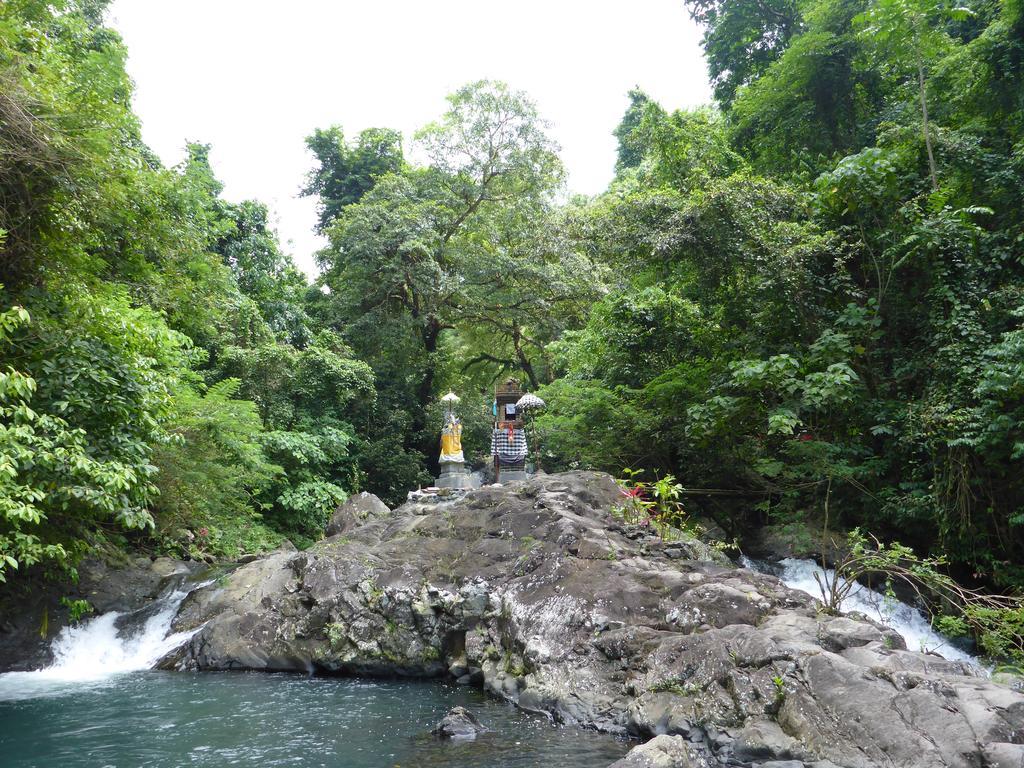 Gunung Paradis Retreat Munduk Kültér fotó