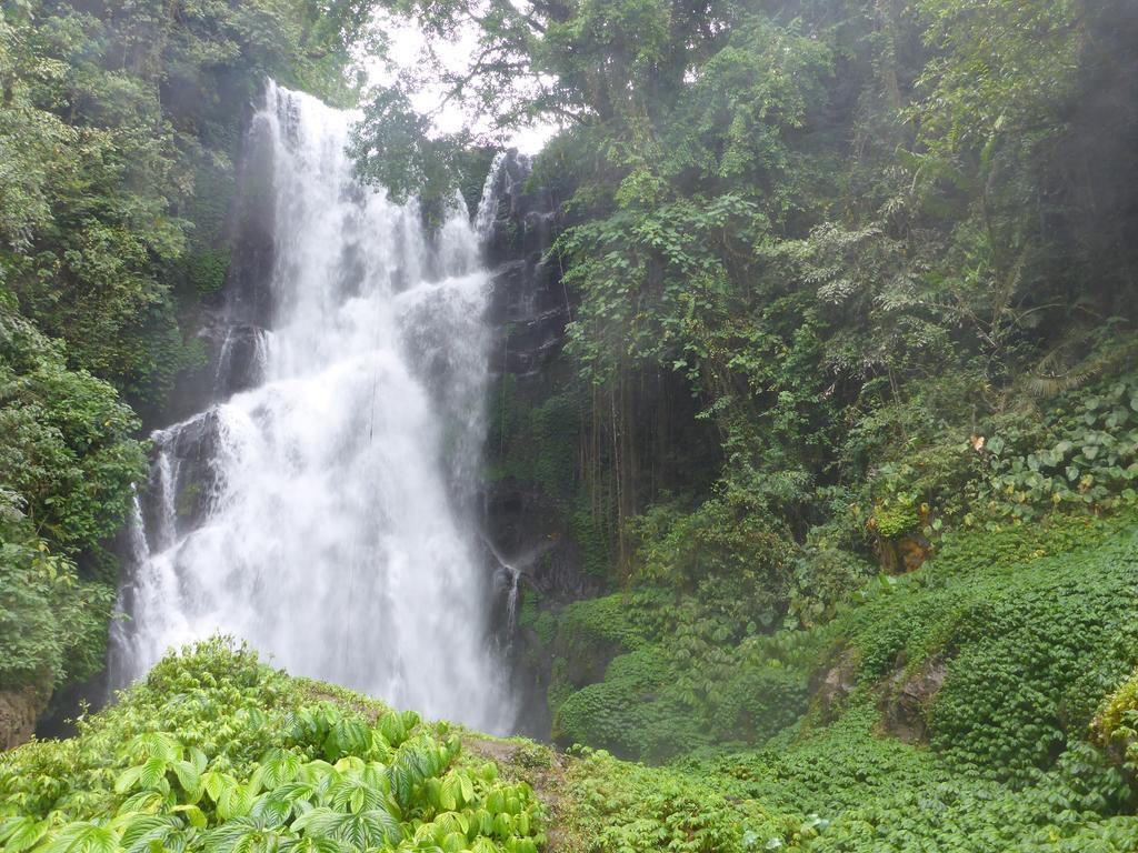 Gunung Paradis Retreat Munduk Kültér fotó