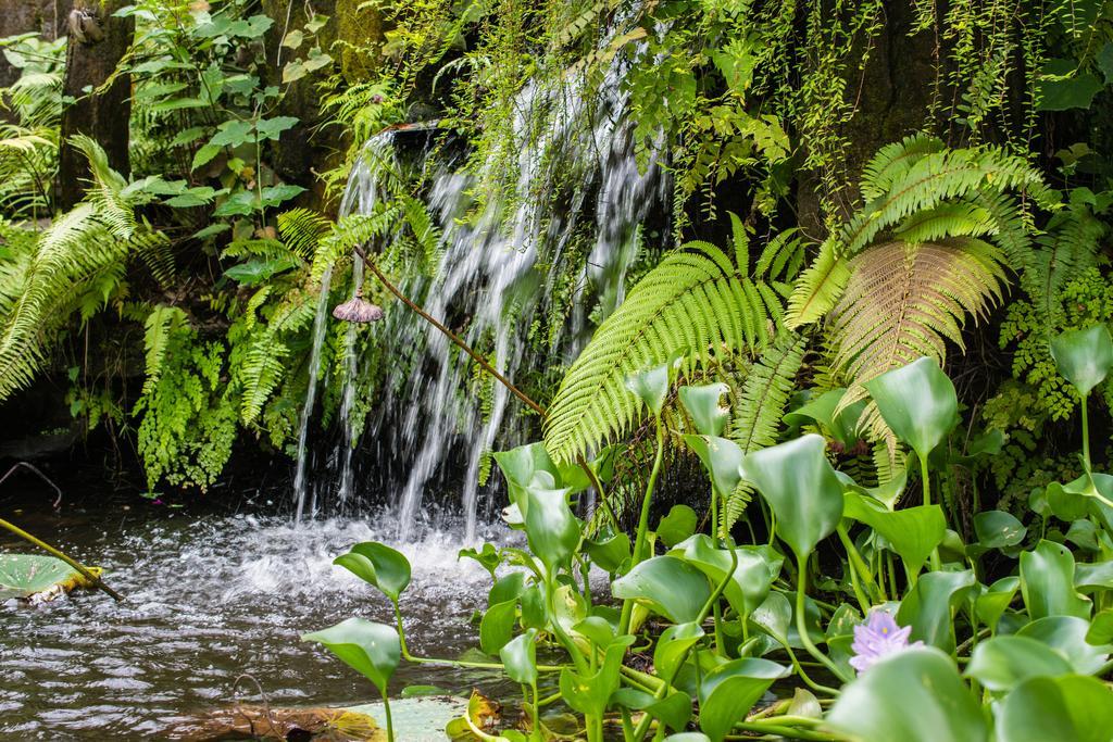 Gunung Paradis Retreat Munduk Kültér fotó